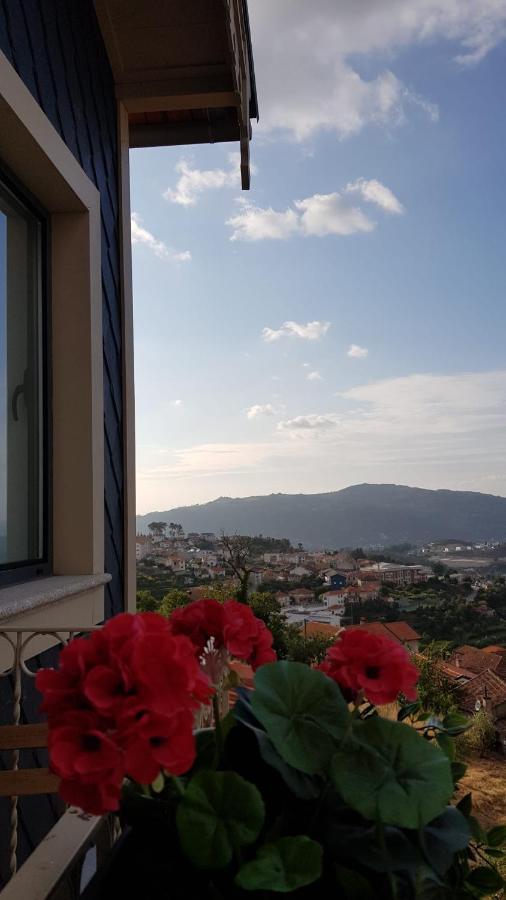 Casa Da Zefinha, Em Cinfaes, No Douro Apartment Bagian luar foto